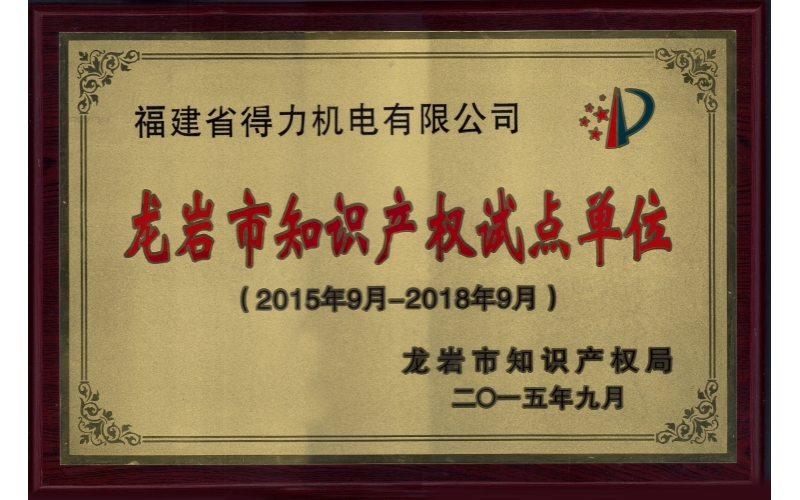 龙岩市知识产权试点单位