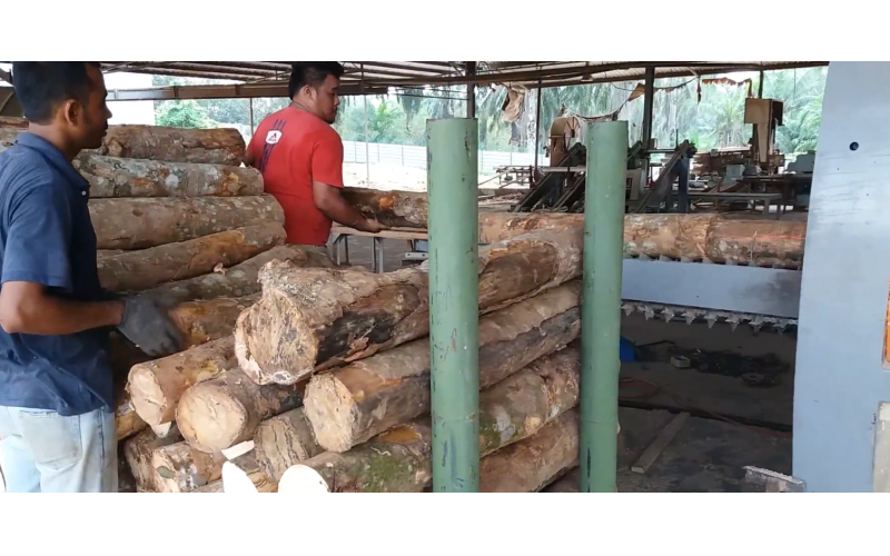 东南亚地区-橡胶木