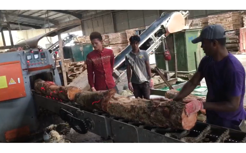 东南亚地区（印尼）-橡胶木