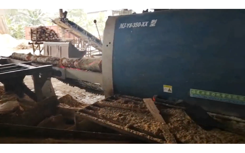 东南亚地区（丁加奴）-橡胶木