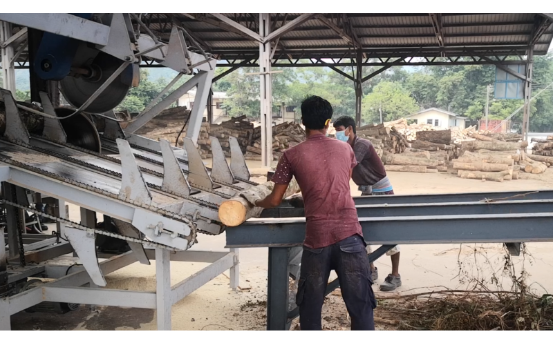 东南亚地区（马来西亚）-橡胶木