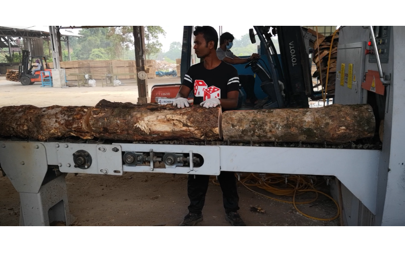 东南亚地区（马来西亚）-橡胶木