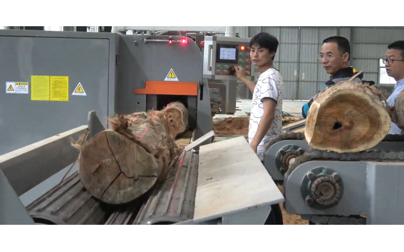 东南亚地区（马来西亚）-相思木生产线