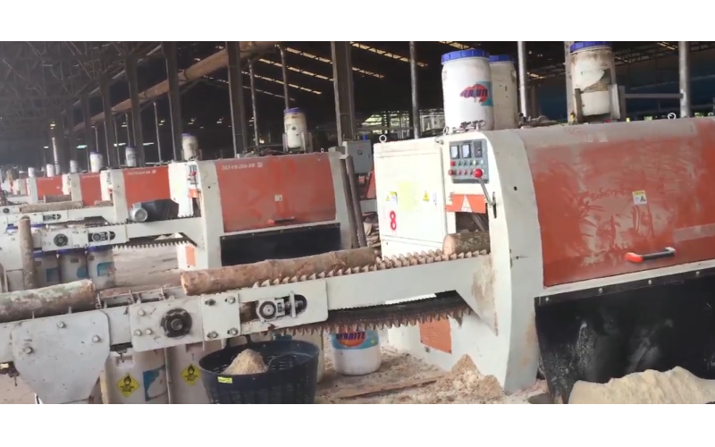 东南亚地区（泰国）-橡胶木单机流水线